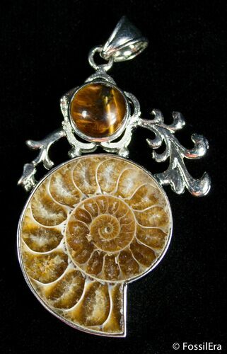 Ammonite Pendant #2686